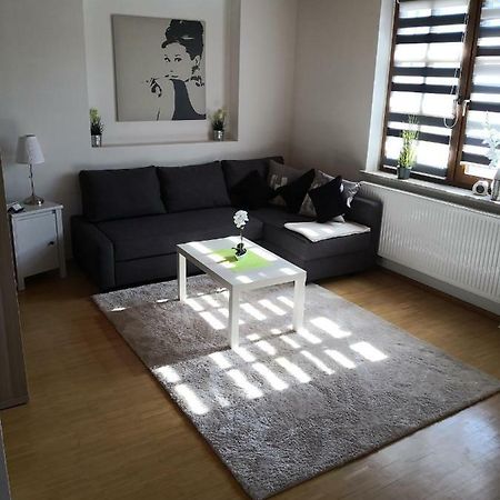 Apartment Ferienwohnung Emmerthal Auch Fuer Monteure Fewo Luaran gambar